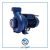 دیزل ساز دو اینچ 2 اسب DS200/2